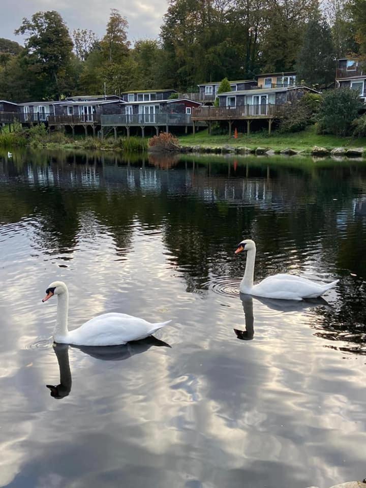 92 Lake View Caernarfon Zewnętrze zdjęcie